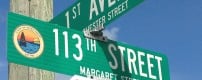 113th Congress 1st Session Street Sign